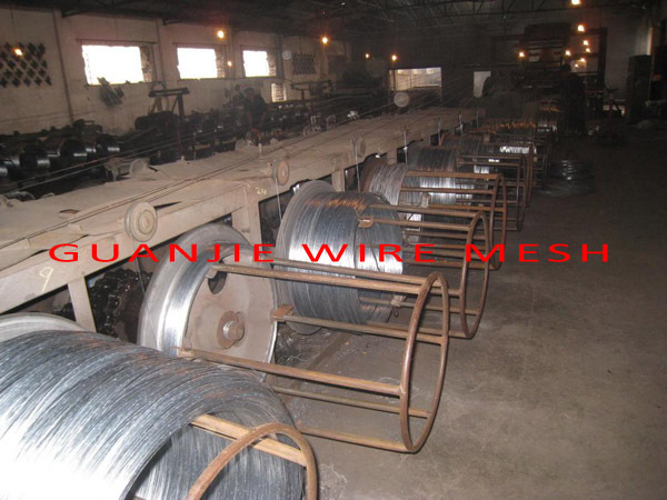 galvanized iron wire factory & ISO9001