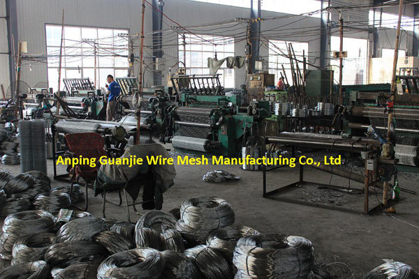 Galvanized welded wire mesh factory & ISO9001