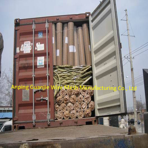 Galvanized welded wire mesh factory & ISO9001