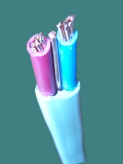 Two cores 2.5mm2 unbunchedplain annealed copper,450/750V PVC insulated