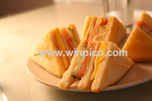 2 slice toaster with cool touch housing Multifunction (WT-805)