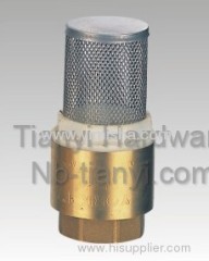 Brass Spring Check Valve with Stainless Steel Mesh