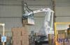 Industrial Ball Screw Material Handling Robots SIEMENS Sensor Gripper