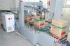 PLC Hot Melt Glue Carton Sealing Equipment , FESTO Motor Conveyor