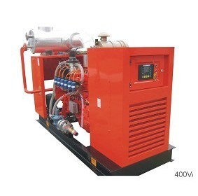 Gas Generator Set (NPG-P495N)