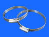 British Standard Type Hose Clamp