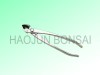 Bonsai tools --- High quality with competitive price (Made in Chinese factory)