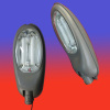 electric yard lights of induction lamp