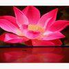 Energy Saving P2 / P2.5 / P3 High Definition LED Display For Advertising