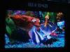 Full Color Indoor SMD LED Display