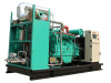 100kw CUMMINS Natural Gas Generator Set