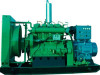 60kw shengdong gas generator set