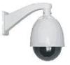 1/4&quot; CCD IP PTZ Dome Camera PAL / NTSC Color , Waterproof IP66 For Day Night