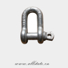 Stainless Steel Screw Pin D Type Chain Shackle