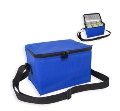 non woven rolling cooler bag