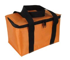 cooler fish bags for men