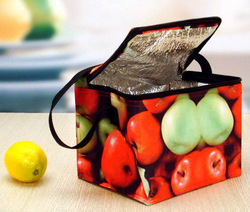 food can cooler bag