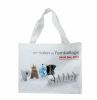eco-friendly pp woven shopping bag