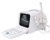 Digital Diagnostic Ultrasound System For Human And Veterinary