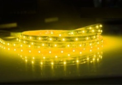 60/120LEDs/M Yellow LED Strip lights
