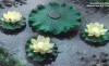 solar garden water lily lighting001(002)