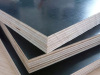 black film faced plywood for construction 18mm