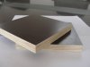 chinese film faced shuttering plywood 18mm