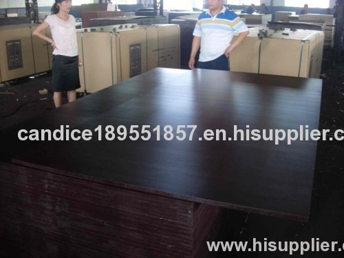 phenolic glue film faced construction plywood