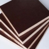 phenolic black plywood board 1220*2440*18mm