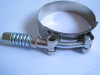 19mm Standard T Type Stainless Steel Hose Clamp