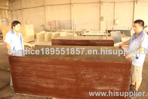 1220*2440*18mm phenolic used hot press plywood
