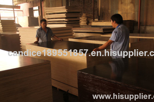 brown film faced shuttering plywood manufacture