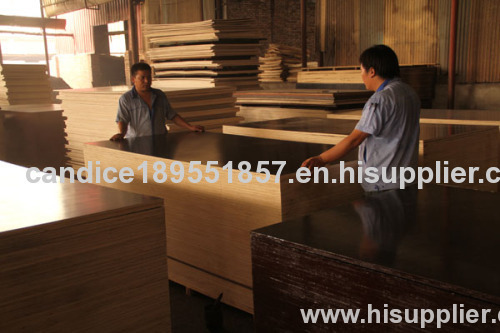 waterproof China filmed plywood phenolic glue