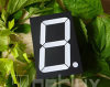 7 segment LED display