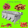 date or jujube grading machine