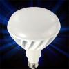 Led bulb light - BR style light