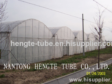 WL96L Multi span green house