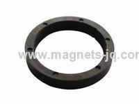 Ring Injection Molded (Molding) Magnets /Plastiform Magnets