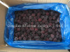IQF Frozen Blueberry IQF