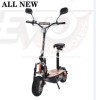 Adult 1000W EEC Electric Scooter