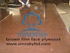 brown film face plywood factory