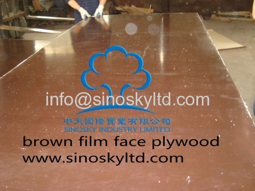 brown film face plywood factory