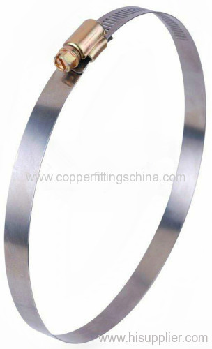 China Worm Drive Hose Clamp Manufacturer