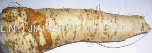Chinese new crop air dried horseradish flakes machine peeled