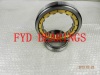 fyd Single-Row Cylindrical Roller Bearing (NU220 NU220E NU220EM)100mm*180mm*34mm