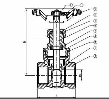 200PSI Threaded Brass Gate Valves