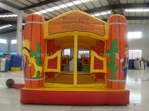 Adult or Children Inflatable Cactus Bouncers