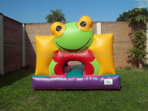 Toddler Frog Inflatable Bounce House