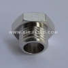 Hexagonal Plug - Brass Fittings - BSPT Male Thread