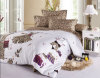 Bedding set -Youth flying